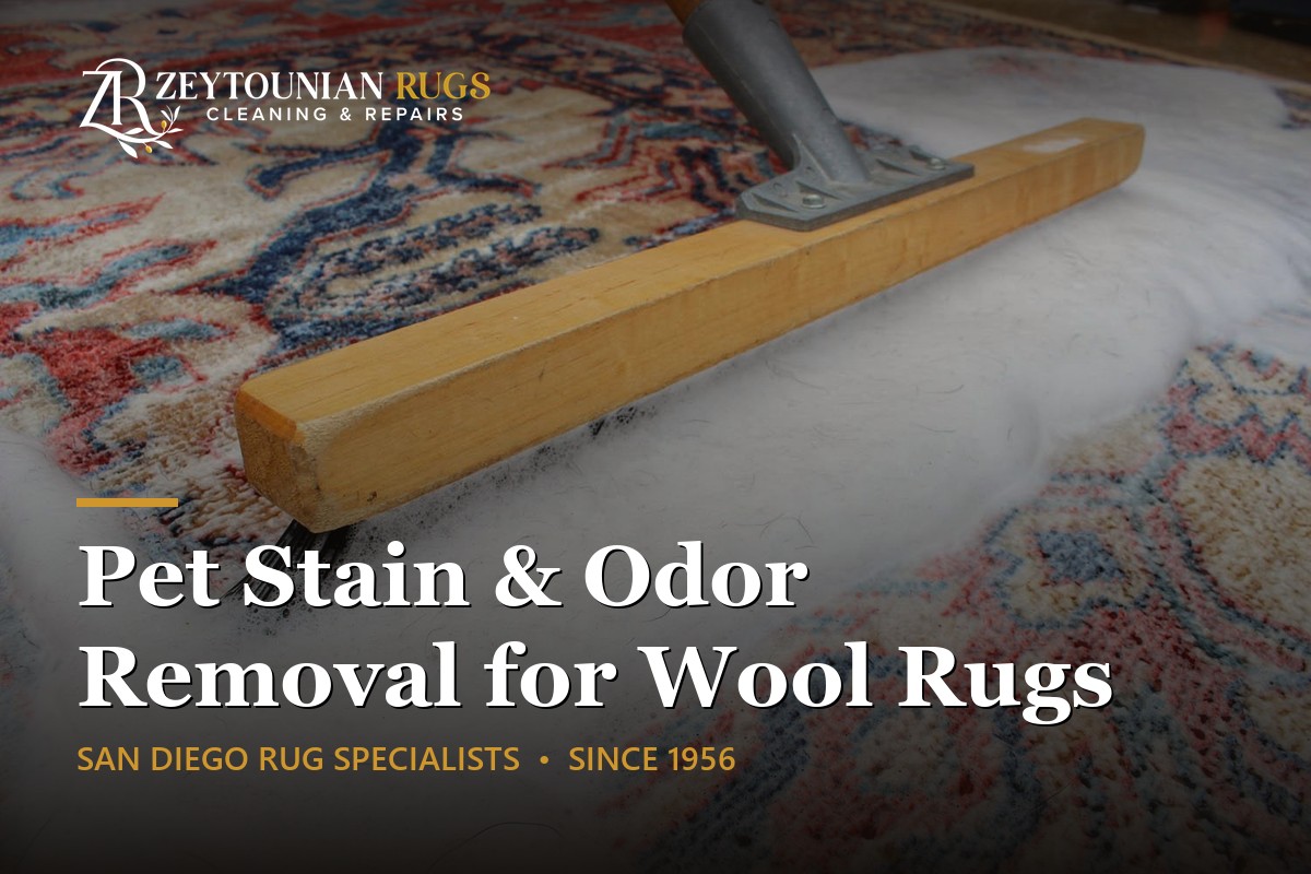 Zeytounian Rugs logo top left with a wool rug being cleaned by a squeegee, highlighting pet stain and odor removal for wool rugs.