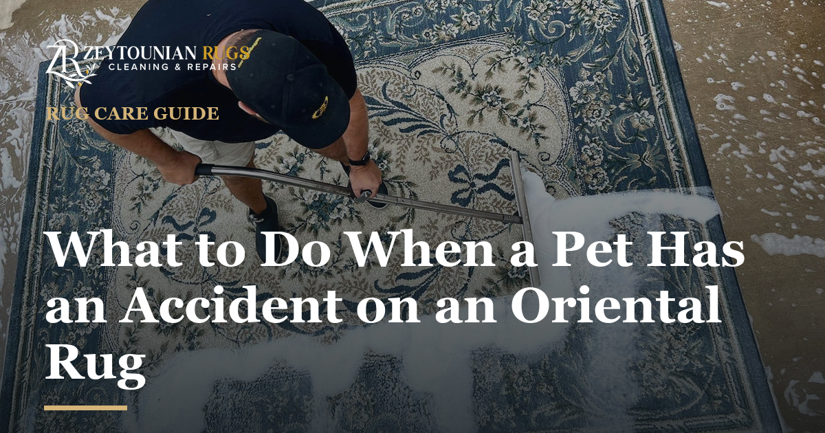 Zeytounian Rug Cleaning & Repair — What to Do When a Pet Has an Accident on an Oriental Rug